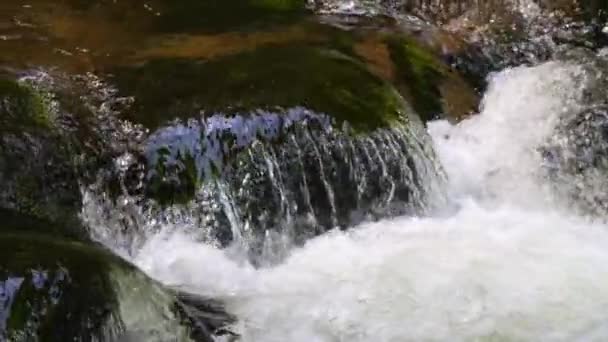 Vendo Pitoresco Rio Montanha Limpo Câmera Lenta Força Beleza Riacho — Vídeo de Stock