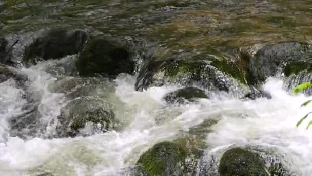 Seething Malowniczej Czystej Górskiej Rzeki Zwolnionym Tempie Siła Piękno Górskiego — Wideo stockowe