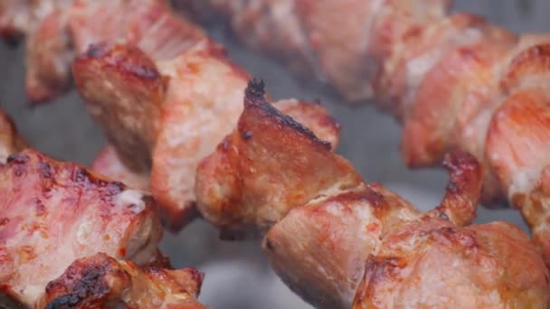 Κρέας Ψήνεται Σουβλάκι Κλείνει Αργή Κίνηση — Αρχείο Βίντεο