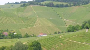 Hava aracı Valdobbiadene Prosecco bölgesindeki yeşil tepelerin kuş görüntüsünü çekti. Güneşli bir yaz gününde İtalya 'nın dik yamaçlarında yeşil üzüm bağları.
