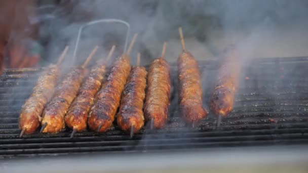 クックローストシッシュケバブバーベキューグリルで 串焼きのアラビア料理 トルコ料理チャコールグリルラム 料理伝統的なスモーキーなバーベキューアダナケバブ ローストハラール魚肉 スローモーション — ストック動画