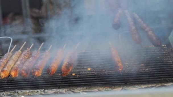 Cozinheiro Assados Shish Kebab Churrasco Grelha Comida Árabe Grelhada Espetos — Vídeo de Stock