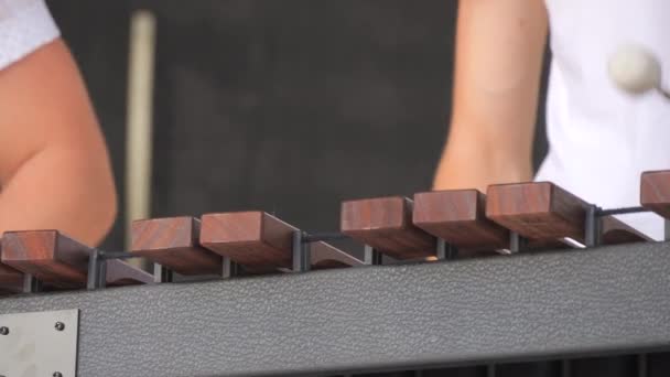 Muž Hrající Xylofon Zavřít Pohled — Stock video