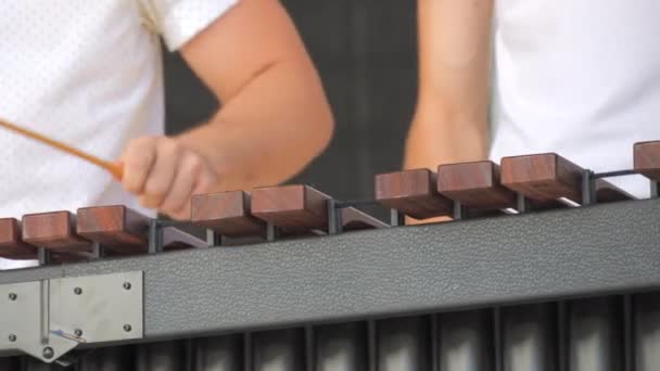 Man Spelen Xylophone Close Uitzicht — Stockvideo