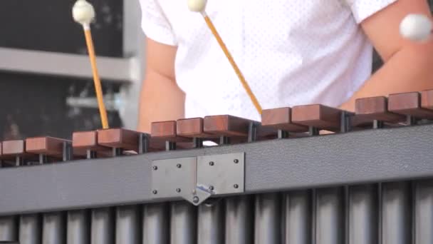 Man Playing Xylophone Close View — Videoclip de stoc