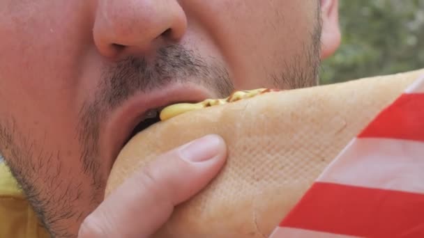 Giovane Uomo Seduto Tavola Mangiare Hot Dog Sulla Natura All — Video Stock