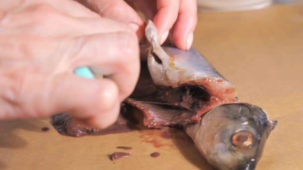 Tangan Wanita Menggerogoti Ikan Haring Dapur Rumah Gerakan Lambat — Stok Video
