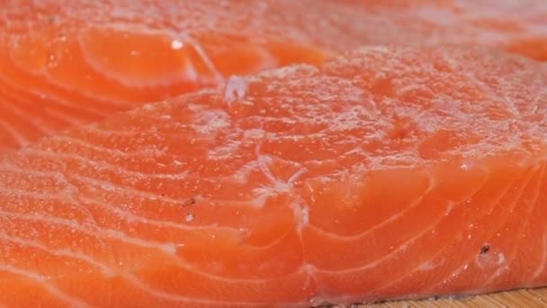 Fresh Raw Red Salmon Fish Fillet Meat Close View — Stock Video