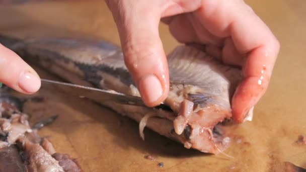 女性的手在厨房里排便 割鲱鱼慢动作 — 图库视频影像