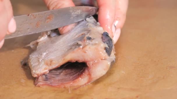 Γυναικεία Χέρια Κόβει Ρέγγα Και Αφαιρεί Δέρμα Στην Κουζίνα Του — Αρχείο Βίντεο