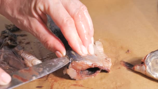 Female Hands Gutting Cutting Herring Home Kitchen Slow Motion — Stock Video