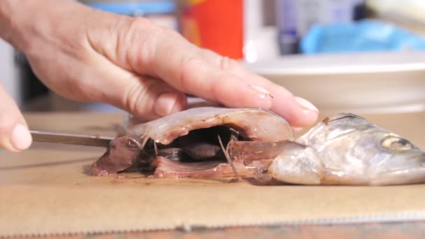 Female Hands Gutting Herring Home Kitchen Slow Motion — Stock Video