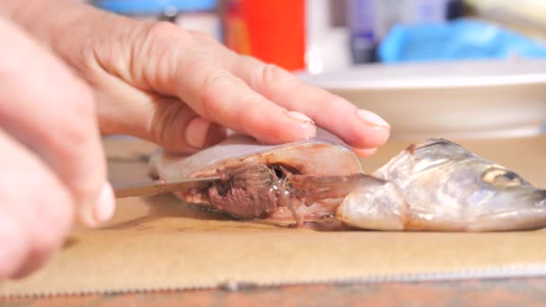 Female Hands Gutting Herring Home Kitchen Slow Motion — Stock Video