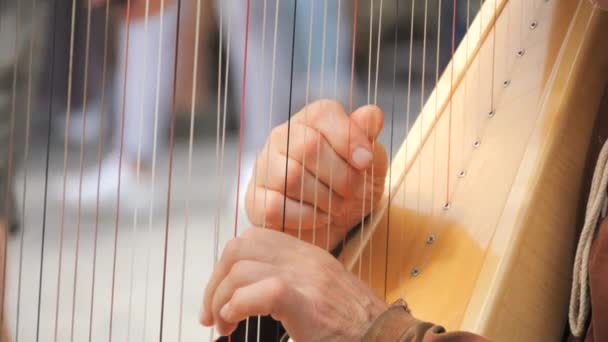 Händerna Man Medeltida Kläder Spelar Harpa Slow Motion Närbild — Stockvideo