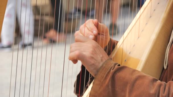 Hände Eines Mannes Mittelalterlichen Gewändern Der Zeitlupe Eine Harfe Spielt — Stockvideo