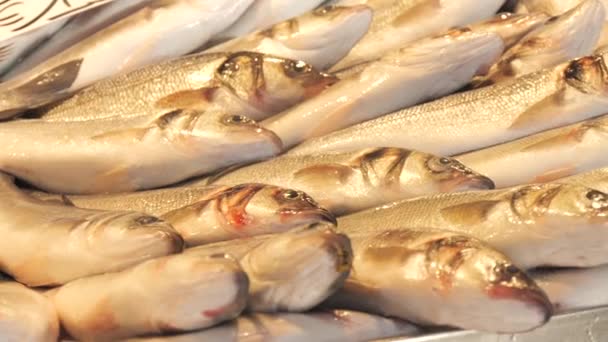 Deniz Ürünleri Pazarı Tezgahta Balık Var Görüntüyü Kapat — Stok video