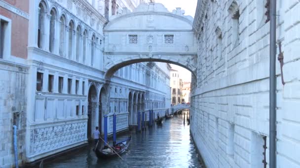 Venezia Settembre 2023 Molte Gondole Galleggiano Uno Stretto Canale Gondolieri — Video Stock