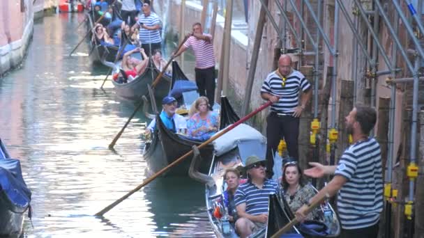 Venecia Italia Septiembre 2023 Muchas Góndolas Flotan Canal Estrecho Gondoleros — Vídeos de Stock