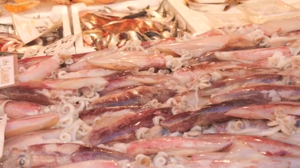 Veneza Itália Setembro 2023 Mercado Peixe Frutos Mar Uma Grande — Vídeo de Stock