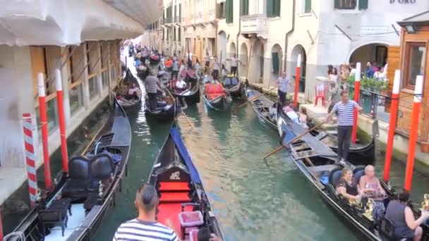 意大利威尼斯 2023年9月6日 许多贡多拉漂浮在狭窄的运河上 观光客乘坐威尼斯传统的黑船 — 图库视频影像
