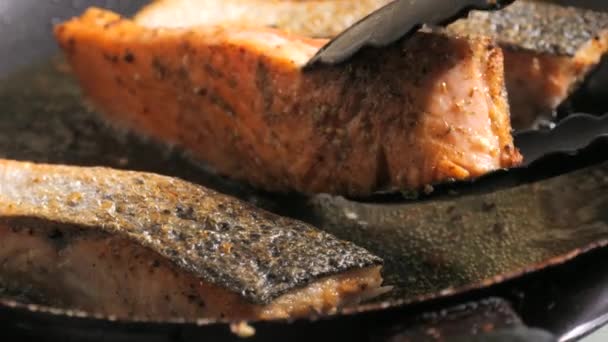 Φρέσκο Κόκκινο Φιλέτο Ψαριού Μπαχαρικά Κρέας Φιλέτου Σολομού Τηγανίζεται Ηλιέλαιο — Αρχείο Βίντεο