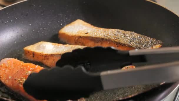 Baharatlı Taze Kırmızı Balık Filetosu Somon Fileto Eti Tavada Ayçiçeği — Stok video