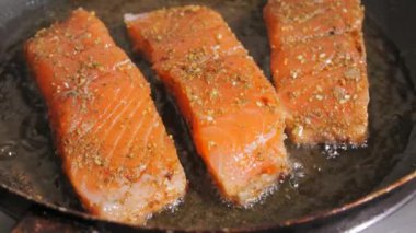 Baharatlı taze kırmızı balık filetosu. Somon fileto eti bir tavada ayçiçeği yağında kızartılır, yakın çekim, yavaş çekim..