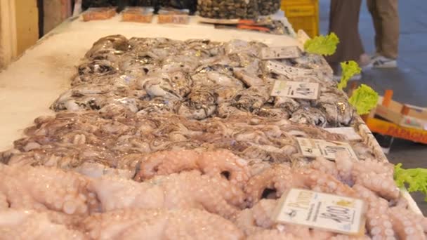 Venetië Italië September 2023 Octopus Inktvis Toonbank Vismarkt Voor Zeevruchten — Stockvideo