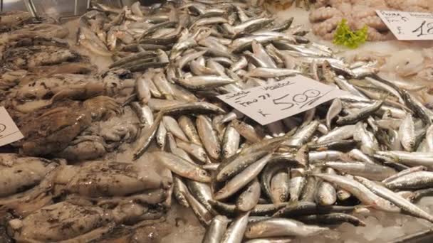 Fischmarkt Fisch Auf Der Theke Blick Aus Nächster Nähe Inschrift — Stockvideo