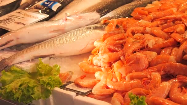 Venedig Italien September 2023 Fischmarkt Eine Große Auswahl Fisch Tintenfisch — Stockvideo