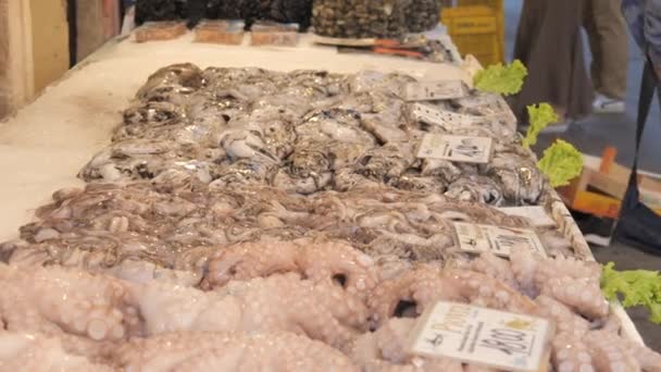Benátky Itálie Září 2023 Chobotnice Sépie Pultě Trh Mořskými Plody — Stock video