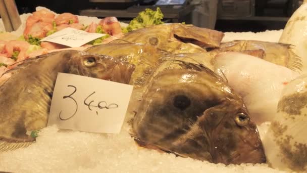Große Frische Fischstücke Eis Auf Der Theke Des Fischmarktes Inschrift — Stockvideo