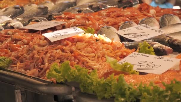 Fischmarkt Eine Große Auswahl Fisch Tintenfisch Krabben Garnelen Auf Der — Stockvideo