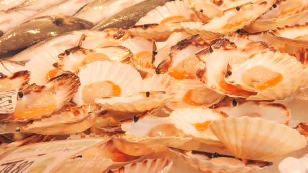 Fischmarkt Eine Vielzahl Von Jakobsmuscheln Venusmuscheln Miesmuscheln Und Garnelen Auf — Stockvideo