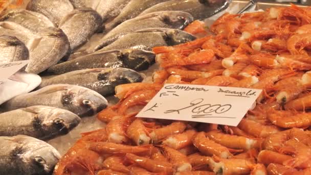 Deniz Ürünleri Pazarı Balık Pazarının Tezgahında Çeşitli Deniz Karidesleri Balıklar — Stok video