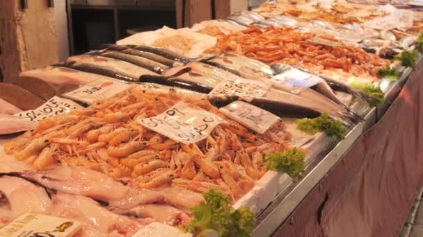 Βενετία Ιταλία Σεπτεμβρίου 2023 Ψαραγορά Θαλασσινών Μεγάλη Ποικιλία Ψαριών Καλαμαριών — Αρχείο Βίντεο