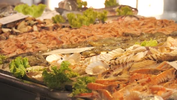 Mercado Mariscos Una Gran Selección Peces Calamares Cangrejos Camarones Los — Vídeo de stock