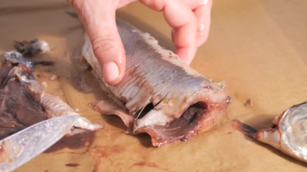 女性的手在厨房里排便 割鲱鱼慢动作 — 图库视频影像