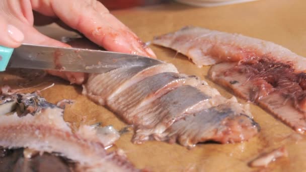 Kadın Eli Mutfağında Ringa Balığını Yavaş Çekimde Keser — Stok video