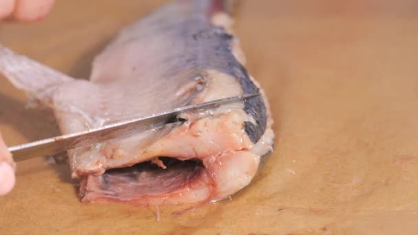 女性的手割伤鲱鱼 并在家里的厨房里去除皮肤 动作缓慢 — 图库视频影像