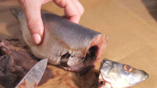 雌性手在自家厨房里狼吞虎咽的鲱鱼慢动作 — 图库视频影像