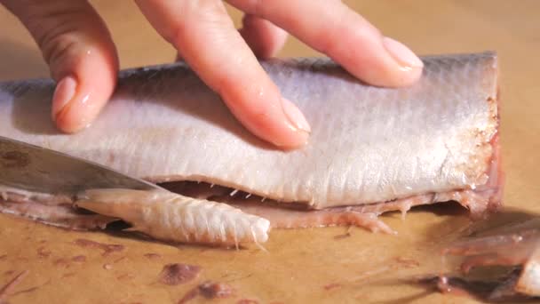 雌性手在自家厨房割鲱鱼慢动作 — 图库视频影像