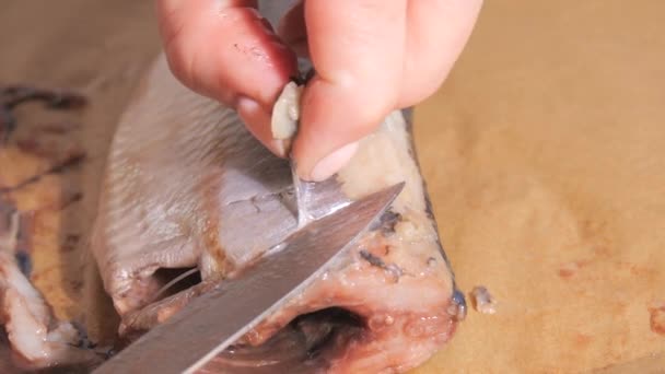 女性的手割伤鲱鱼 并在家里的厨房里去除皮肤 动作缓慢 — 图库视频影像