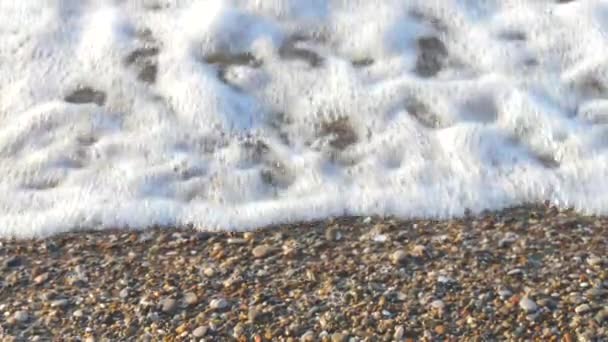海岸における海の波のゆっくりとした動き — ストック動画