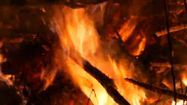 Peligrosa Hoguera Nocturna Salvaje Fuego Ramas Árboles Bosque Vista Cerca — Vídeo de stock