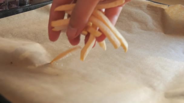 Donmuş Patates Kızartmaları Fırında Pişirmek Için Mutfak Tepsisine Elle Konur — Stok video