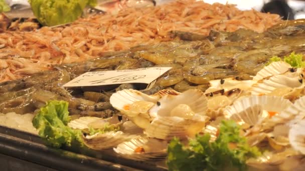 Mercado Peixe Frutos Mar Uma Grande Variedade Peixes Lulas Caranguejos — Vídeo de Stock