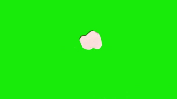 Пластиковое Белое Пятно Падающее Зеленом Хромакеевом Фоне Остановить Анимацию — стоковое видео