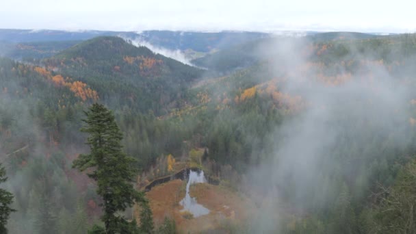 Сильный Густой Туман Осенних Горах Шварцвальда Германия — стоковое видео