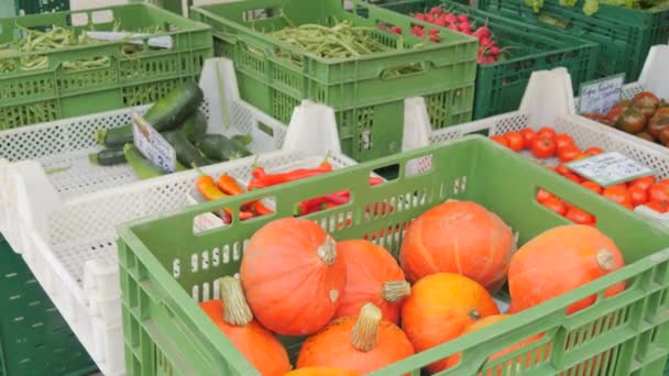 Scatole Verdi Sulla Piazza Del Mercato Con Raccolto Verdure Frutta — Video Stock